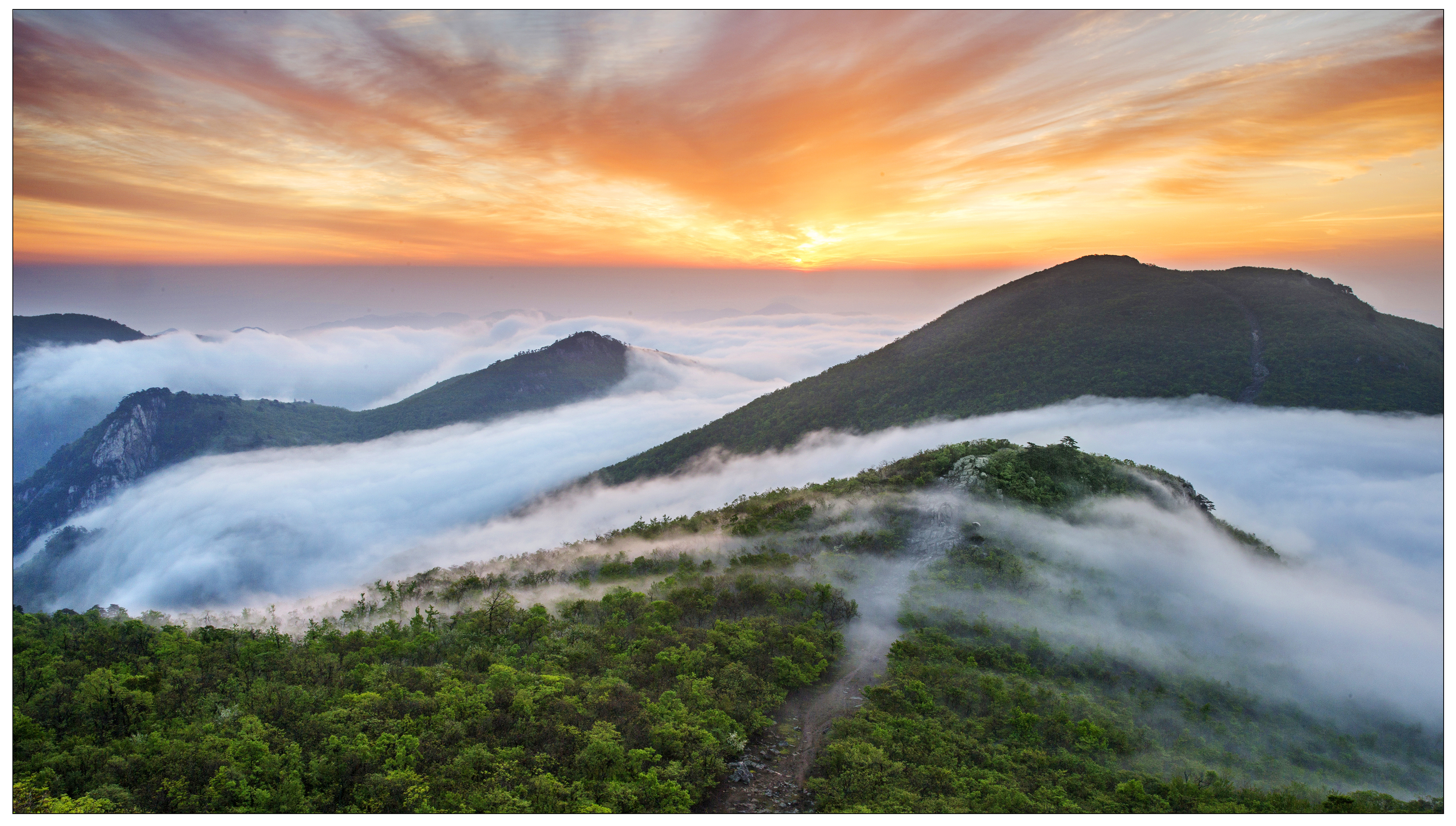 11-1千亩峰晨曦 沈伟明.jpg
