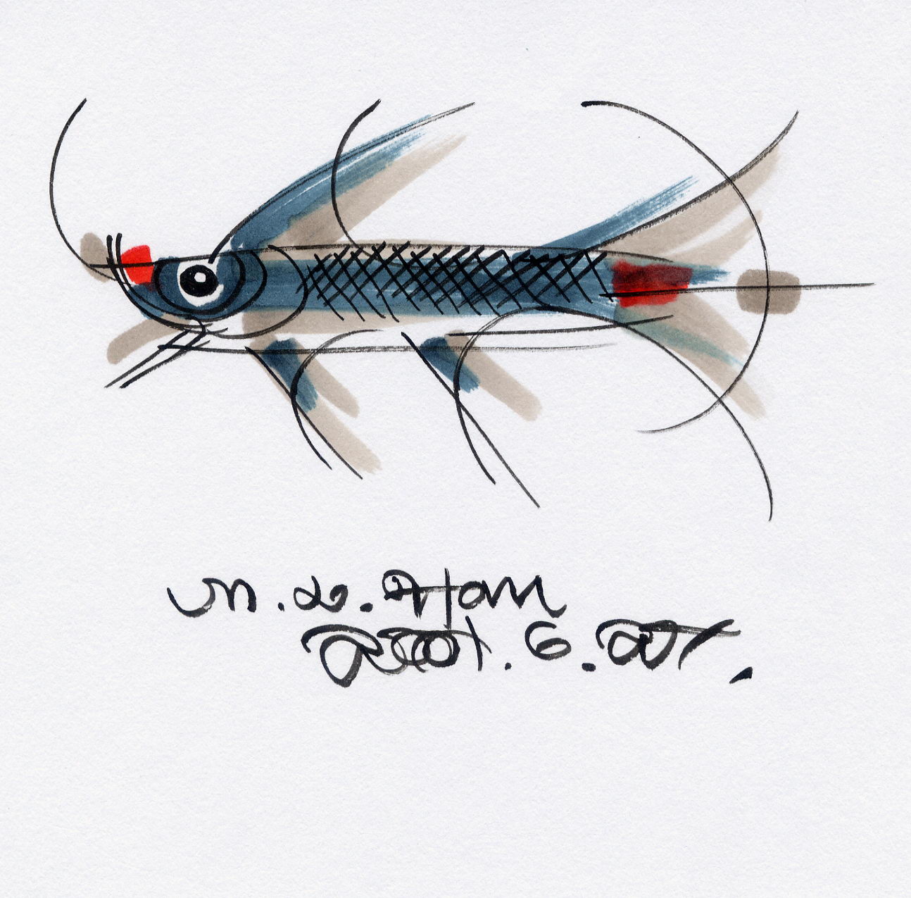 a-cc222.jpg