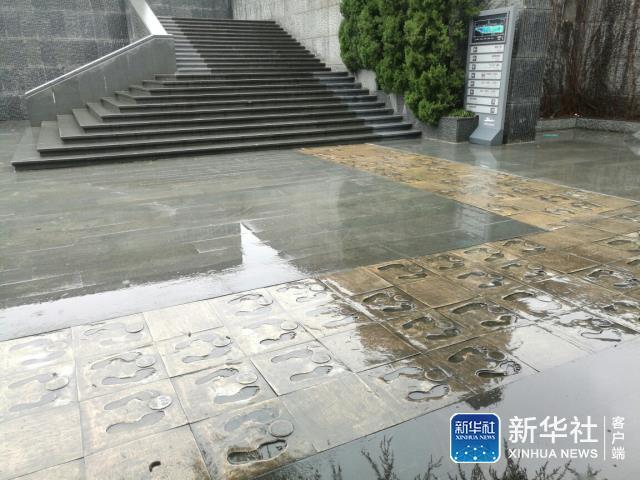 1115.jpg