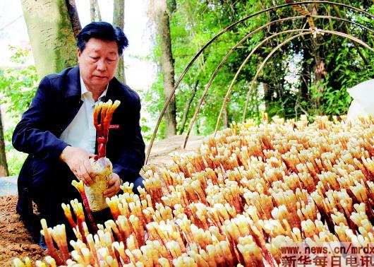 2017.7.3 他用“一棵草”带给上百个国家农民脱贫梦.jpg
