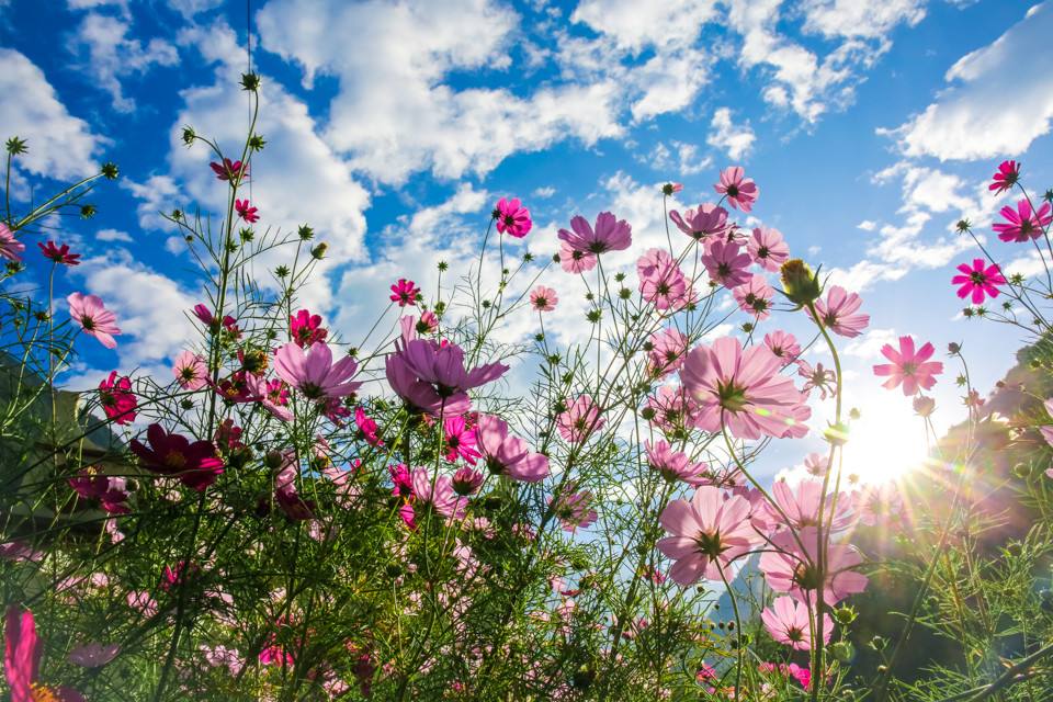 timg (3).jpg timg (3).jpg