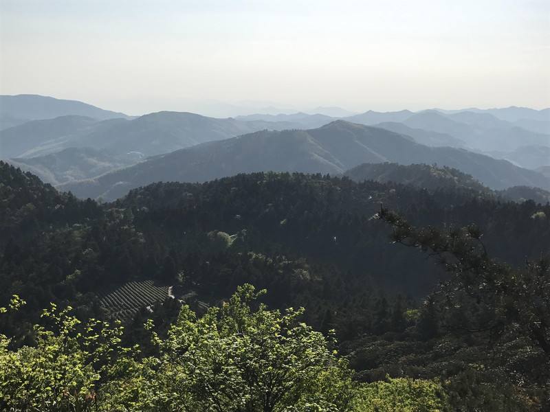 3华顶山.jpg