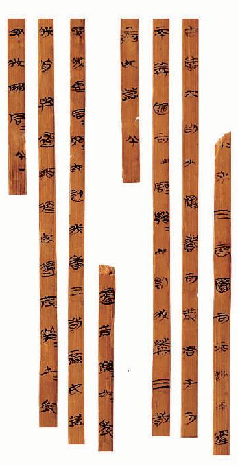1125100291_15710113055241n.png