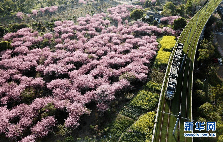 （新华全媒头条·图文互动）（4）伟大旗帜引领历史巨变——习近平新时代中国特色社会主义思想指引“十三五”经济社会发展述评