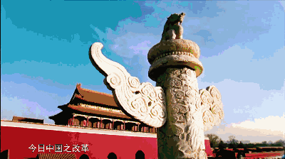 1123261346_15341314241341n.gif