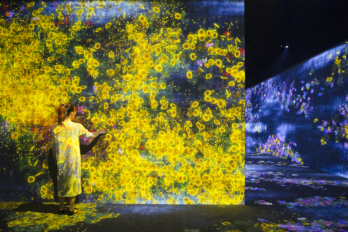 Flower Forest, Lost, Immersed and Reborn teamLab 2017 (installation view 03).jpg